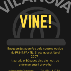 VOLS JUGAR A BÀSQUET?