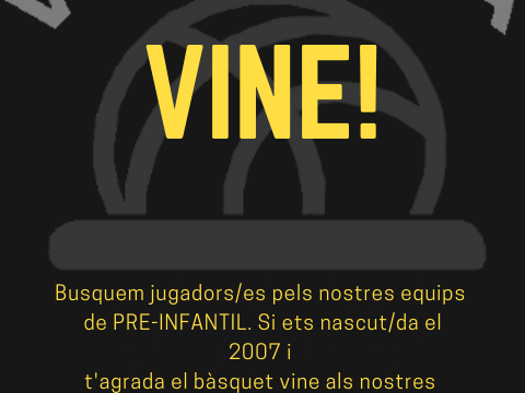 VOLS JUGAR A BÀSQUET?