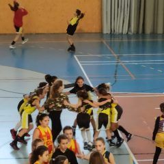 CRÒNIQUES 8 I 9 DE FEBRER